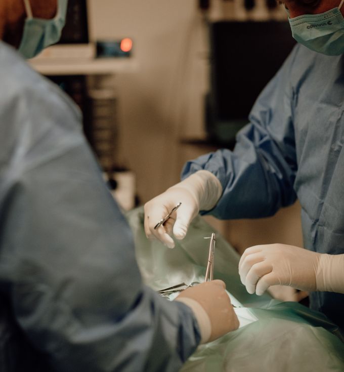 Dierenarts Kevin Langens